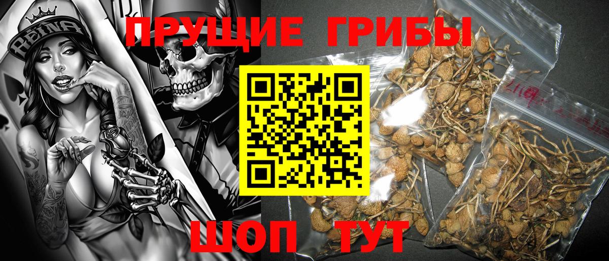 Галлюциногенные грибы мухоморы  Вход с VPN  Карпинск  Псилоцибиновые грибы Cubensis 